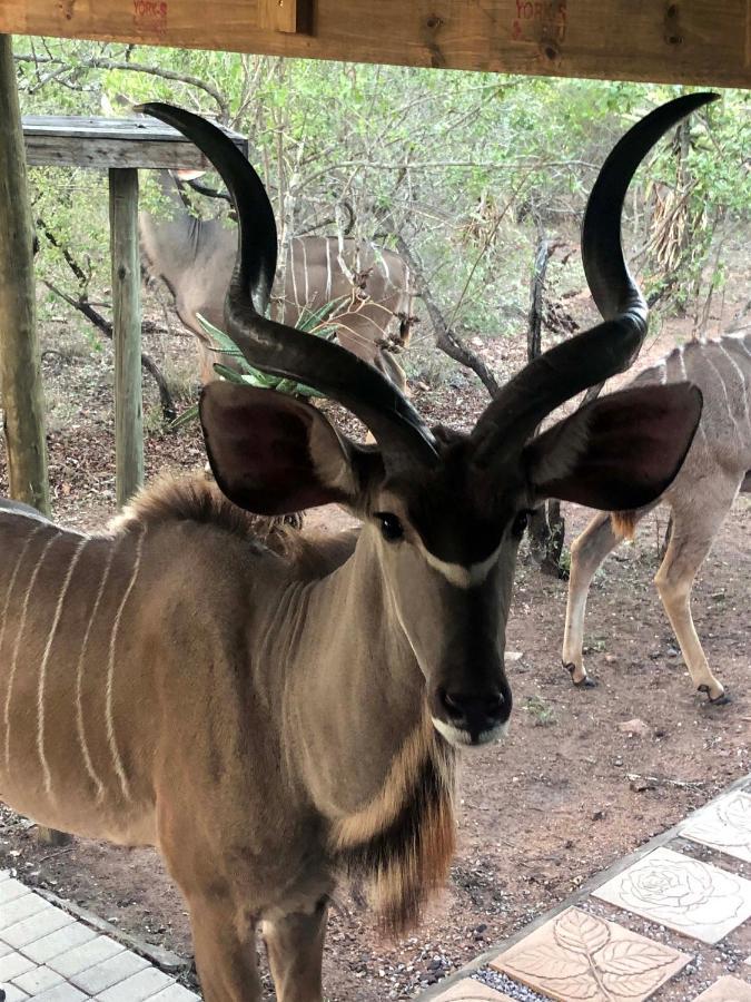 Pheasant's Crest Ferienhaus Marloth Park